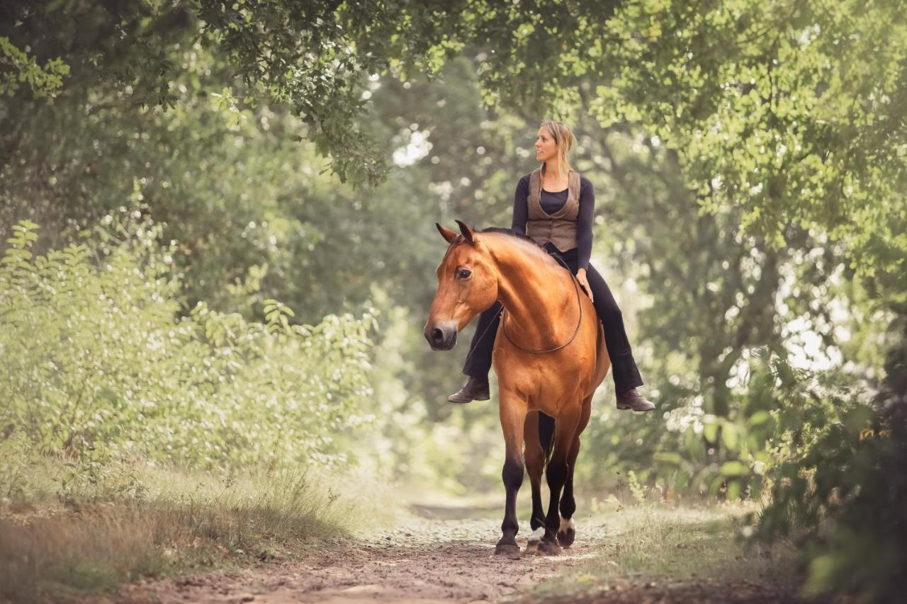 Human & Horse Hotel Kootwijkerbroek Exterior foto